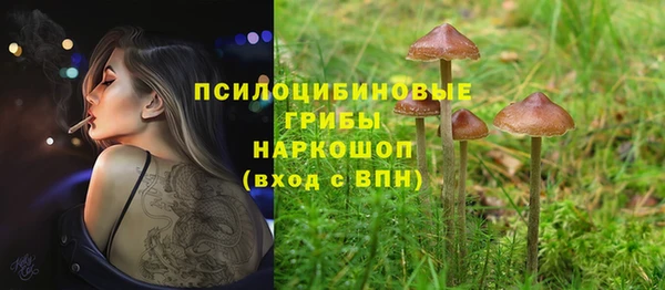 ALPHA PVP Беломорск