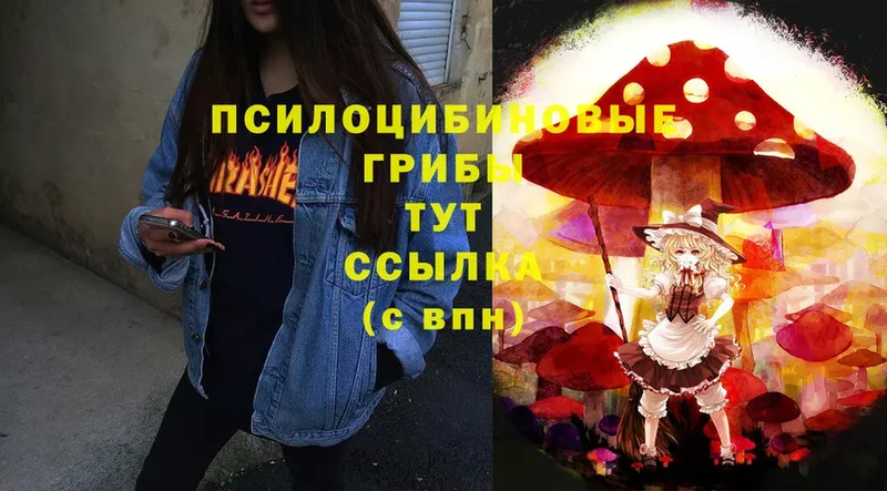 сколько стоит  Воскресенск  Галлюциногенные грибы Cubensis 