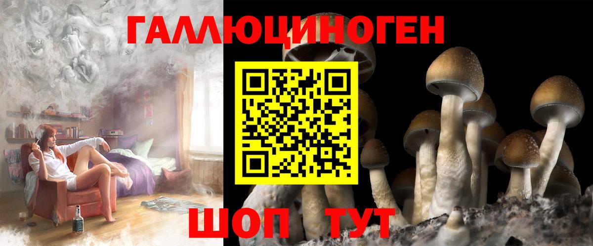 Псилоцибиновые грибы мухоморы  Воскресенск  Псилоцибиновые грибы прущие грибы 