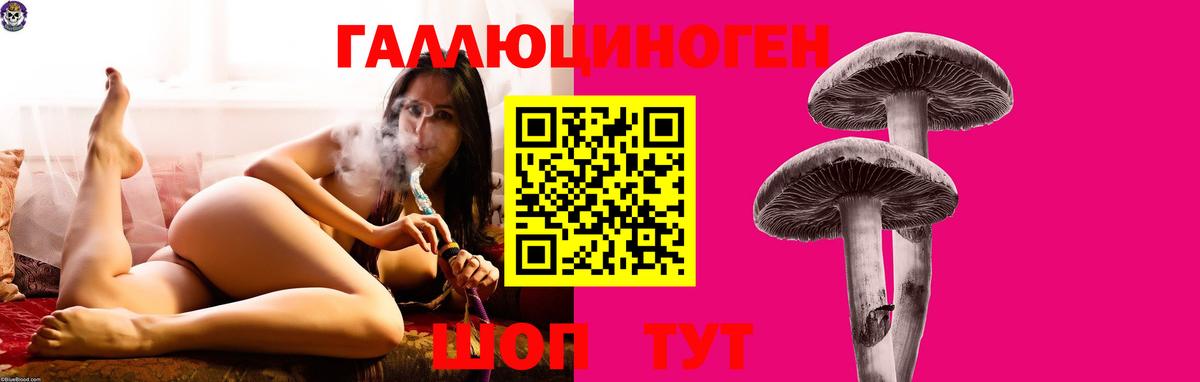 Галлюциногенные грибы Psilocybine cubensis  Воскресенск  Галлюциногенные грибы Psilocybine cubensis 