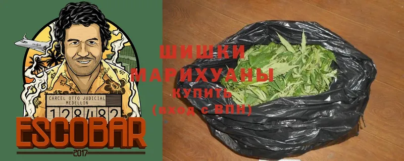 Шишки марихуана сатива  где продают   Воскресенск 